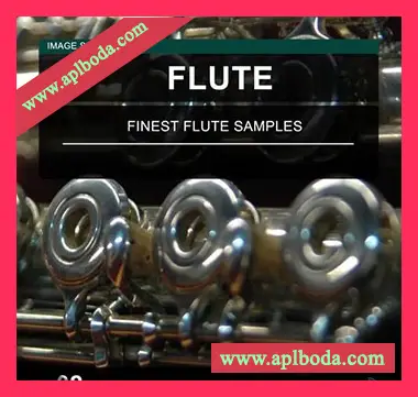 [长笛采样]Image Sounds Flute 02 [WAV]（17Mb）