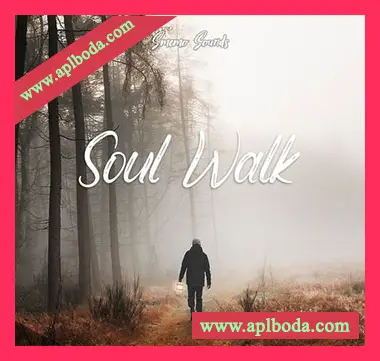 [灵魂嘻哈RnB采样]Smemo Sounds SOUL WALK [WAV]（84Mb）