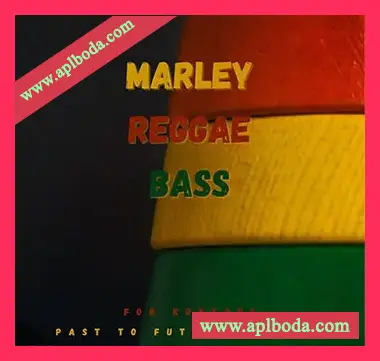 [雷鬼Bass音源]PastToFutureReverbs Marley Reggea Bass [KONTAKT]（38Mb）