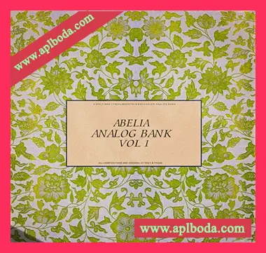 [Analog Lab V预置嘻哈RnB]TYQUILMADETHIS Abelia Analog Lab V Bank（24Mb）