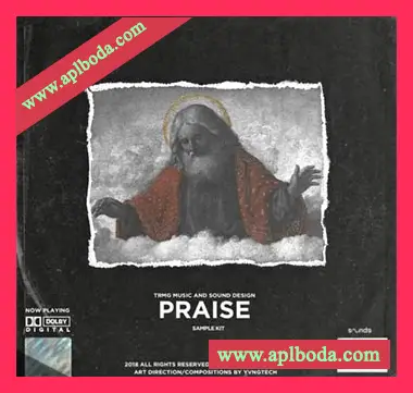 [嘻哈陷阱采样]T R M G Beat Co Praise (Sample Pack) [WAV]（89Mb）