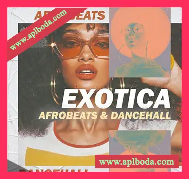[非洲节奏Dancehall素材]Godlike Loops Exotica Afrobeats and Dancehall [WAV, MiDi]（200Mb）