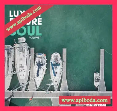 [灵魂RnB采样]New Beard Media Luxury Future Soul Vol.1 [WAV]（186Mb）