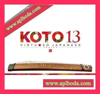[新日本13弦古筝音源] Sonica KOTO 13 KONTAKT（8.29 Gb）