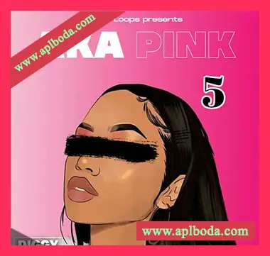 [灵魂RnB采样]Diggy Loops Aka Pink 5 [WAV]（79Mb）