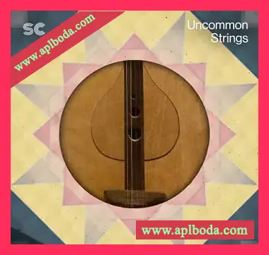 [民谣弦乐采样]Sonic Collective Uncommon Strings [WAV]（162Mb）