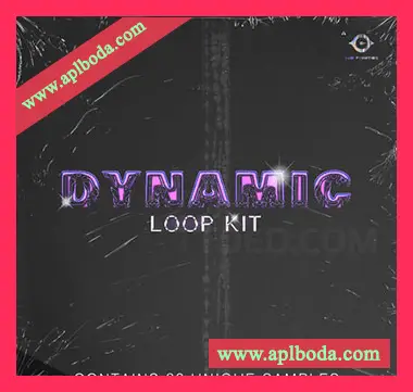 [嘻哈陷阱采样]YBH Beats Dynamic Loop Kit by YBH Beats and Wave808 [WAV]（373Mb）