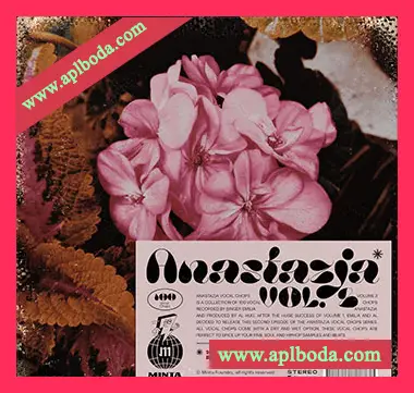 [灵魂嘻哈RnB人声切片采样]Minta Foundry Anastazja Vocal Chops Vol.2 [WAV]（176Mb）