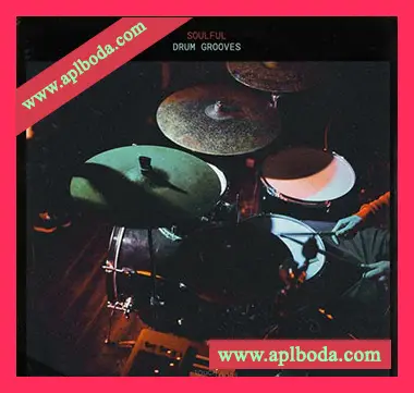 [Breakbeat嘻哈说唱鼓节奏采样]Touch Loops Soulful Drum Grooves [WAV]（671Mb）