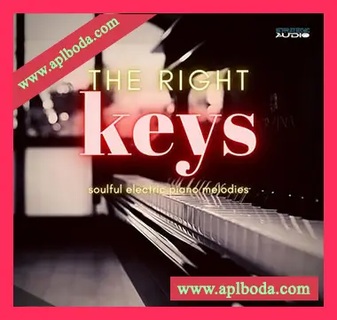 [灵魂嘻哈RnB电钢琴采样]Strategic Audio The Right Keys Soulful Electric Piano Melodies [WAV]（141Mb）