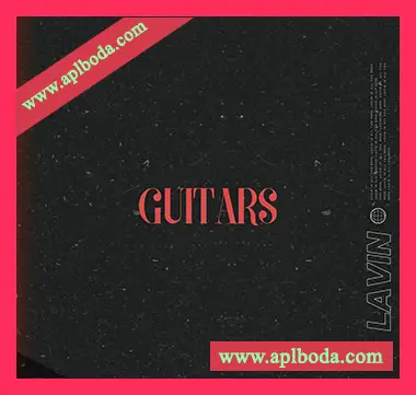 [流行吉他采样]LAVIN Guitars [WAV]（25Mb）