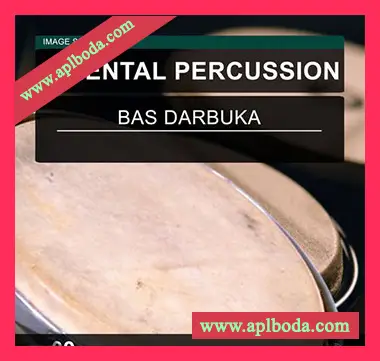[东方打击乐采样]Image Sounds Oriental Percussion 09 [WAV]（13Mb）