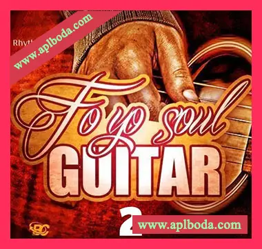 [灵魂吉他采样]Big Citi Loops Fo Yo Soul Guitar Rhythm Chops 2 [WAV]（23Mb）