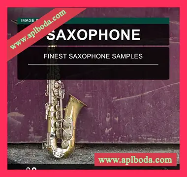 [流行爵士萨克斯采样]Image Sounds Saxophone 08 [WAV]（12Mb）