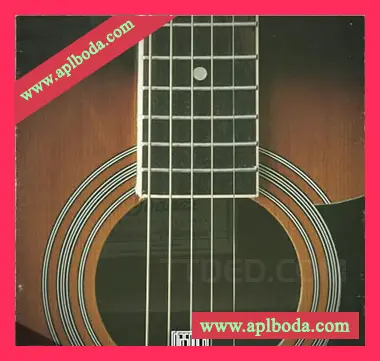 [拉丁乐采样]Diaspora Requinto Bachata [WAV]（185Mb）