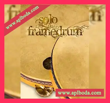 [手鼓音源]8Dio Solo Frame Drums [KONTAKT]（1.14Gb）