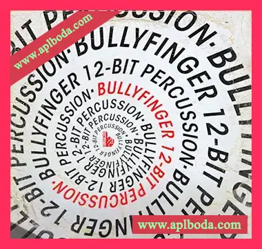 [12-Bit嘻哈打击乐采样]Bullyfinger 12-Bit Percussion [WAV]（15Mb）