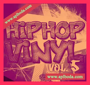 [灵魂嘻哈RnB采样]Big Citi Loops Hip Hop Vinyl 5 [WAV]（113Mb）