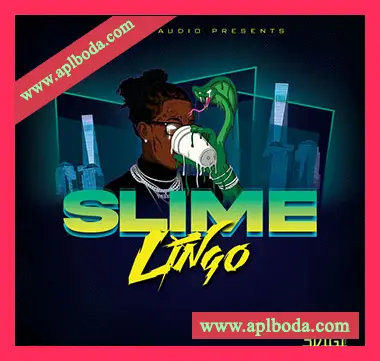 [RnB采样]3Digi Audio Slime Lingo [WAV]（42Mb）