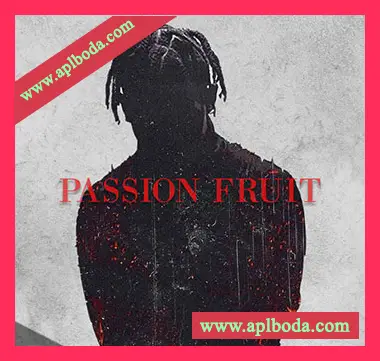 [嘻哈陷阱采样]Flame Audio Passion Fruit [WAV]（321Mb）