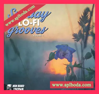 [低保真电子乐采样]New Beard Media Sunday Lo Fi Grooves Vol 1 [WAV]（245Mb）