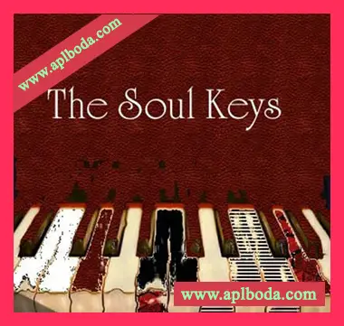 [灵魂RnB钢琴键盘和弦采样]Big Citi Loops The Soul Keys [WAV]（22Mb）