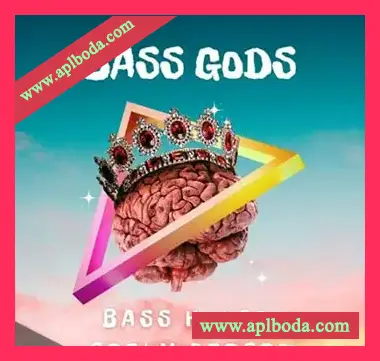 [Serum预置低音浩室]Infinity Audio Bass Gods Bass House Serum Presets（44Mb）