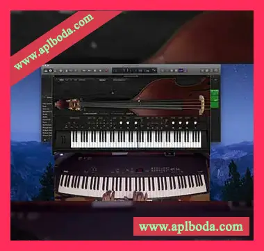 Ample Sound Ample Bass Upright v4.01 [WiN, MacOSX]（3.74Gb）