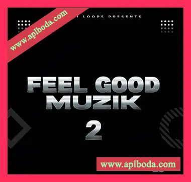 [灵魂放克RnB采样]Big Citi Loops FEEL GOOD MUZIK 2 [WAV]（79Mb）