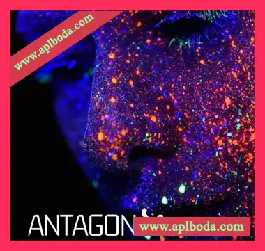 [Ableton工程模板Serum预置迷幻恍惚舞曲]Innovation Sounds Antagonia Psy Trance Ableton Live Template（65Mb）