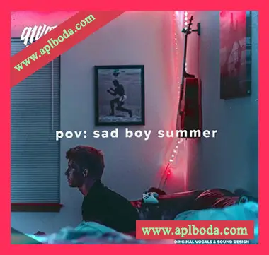 [流行怀旧人声采样]91Vocals pov sad boy summer [WAV]（630Mb）