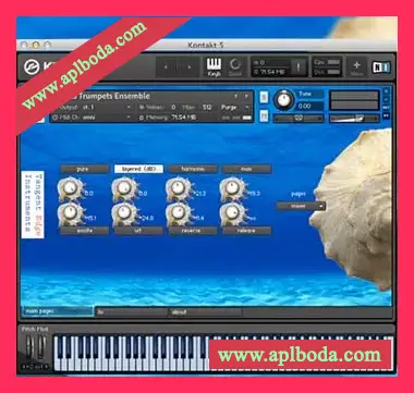[海螺海号音源]Tangent Edge Instruments Sea Trumpets [KONTAKT]（2.1Gb）