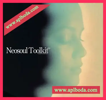 [灵魂RnB采样]Dionso and Xandros Neo-Soul Toolkit Vol.1 [WAV]（86Mb）