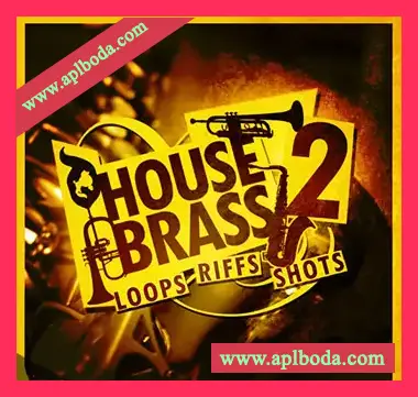 [浩室铜管采样]Delectable Records House Brass Vol.2 [WAV]（250Mb）