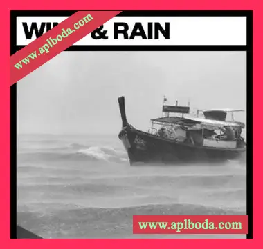 [风雨雨林音效FX采样]Big Room Sound Wind and Rain [WAV]（1.38Gb）