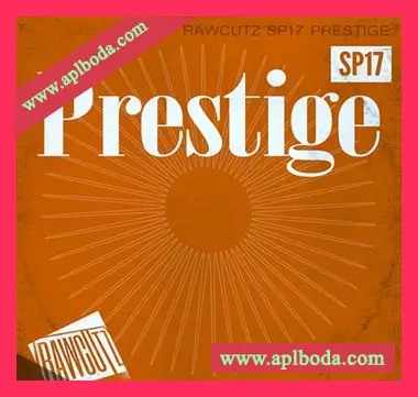 [嘻哈说唱采样]Raw Cutz Prestige [WAV, REX]（105Mb）