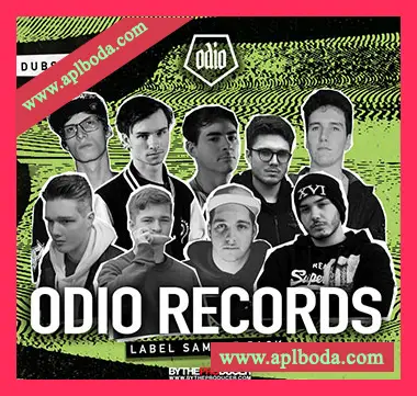 [回响重拍采样Serum预置Vital预置]By The Producer Odio Records Label Sample Pack (Official)（591Mb）