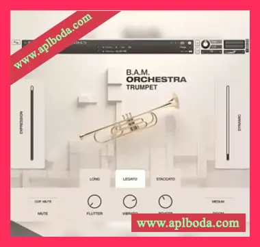 [乐团小号音源]SuperAudio B.A.M Orchestra Trumpet [KONTAKT]（31Mb）