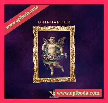 [Trap陷阱采样]Studio Trap Drip Harde [WAV]（16Mb）