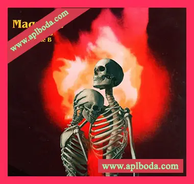 [怀旧乐采样]Mike B Magnetic (One Shot Library) [WAV]（77Mb）