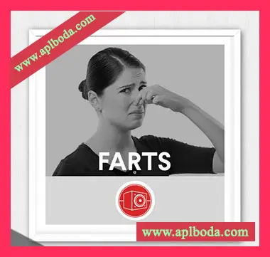 [放屁声音FX采样]Big Room Sound Farts [WAV]（29Mb）