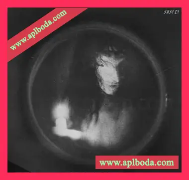 [TripHop采样]ShamanStems The Eerie Tapes [WAV]（736Mb）