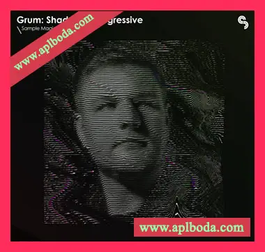 [电子前卫舞曲素材Beatmaker预置]Sample Magic Grum Shades of Progressive [WAV, MiDi]（681Mb）