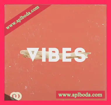 [RnB素材]Industry Kits Vibes MIDI and Loop Pack [WAV, MiDi]（40Mb）