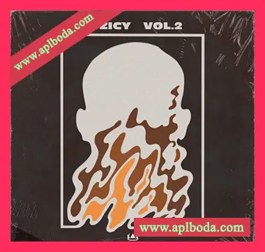 [嘻哈说唱陷阱采样]Kingsway Music Library Juzicy Vol.2[WAV]（283Mb）