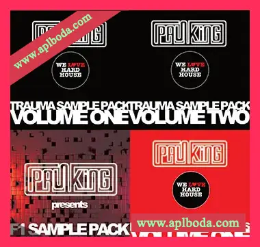 [电子乐采样]Paul King Sample Pack Bundle [WAV]（500Mb）