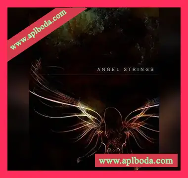 [天使影视弦乐音源]Auddict Angel Strings Vol.1 [KONTAKT]（12.86Gb）