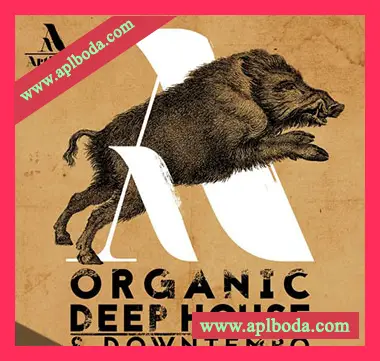 [深邃浩室慢摇采样]Artisan Audio Organic Deep House and Downtempo [WAV]（574Mb）