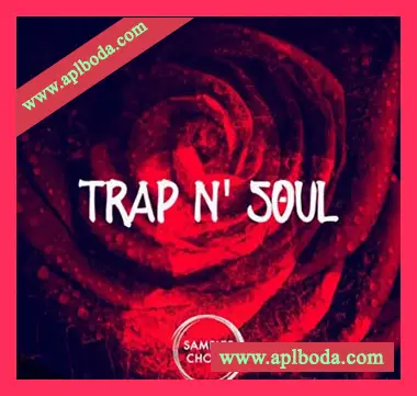 [灵魂嘻哈RnB采样]Samples Choice Trap and Soul [WAV]（465Mb）