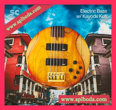[流行非洲节奏采样]Sonic Collective Electric Bass w Kayode Kuti [WAV]（236Mb）
